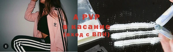 стаф Арсеньев