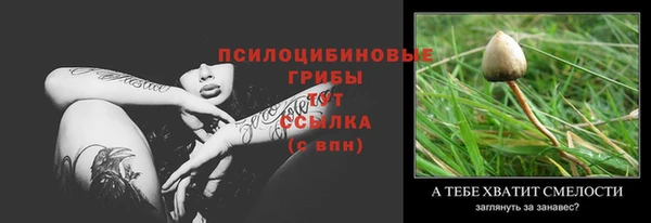 ALPHA PVP Аркадак