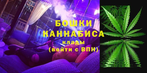 стаф Арсеньев