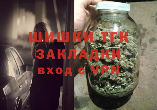 стаф Арсеньев