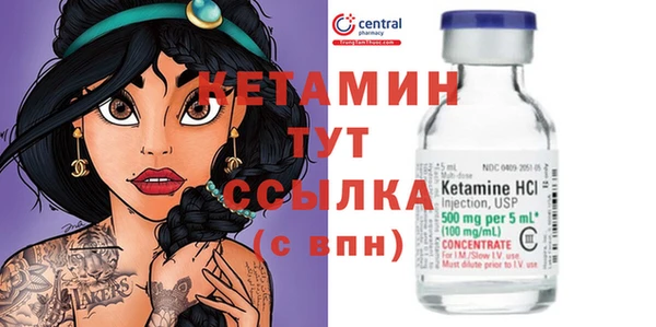 стаф Арсеньев